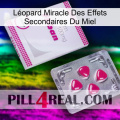 Léopard Miracle Des Effets Secondaires Du Miel 32
